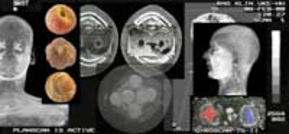 65 0 8818901002550872