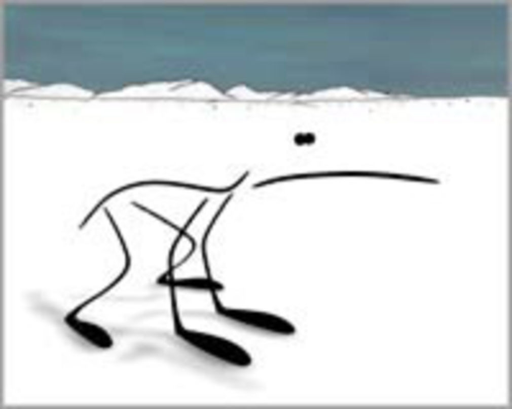 298 0 3918191051282377