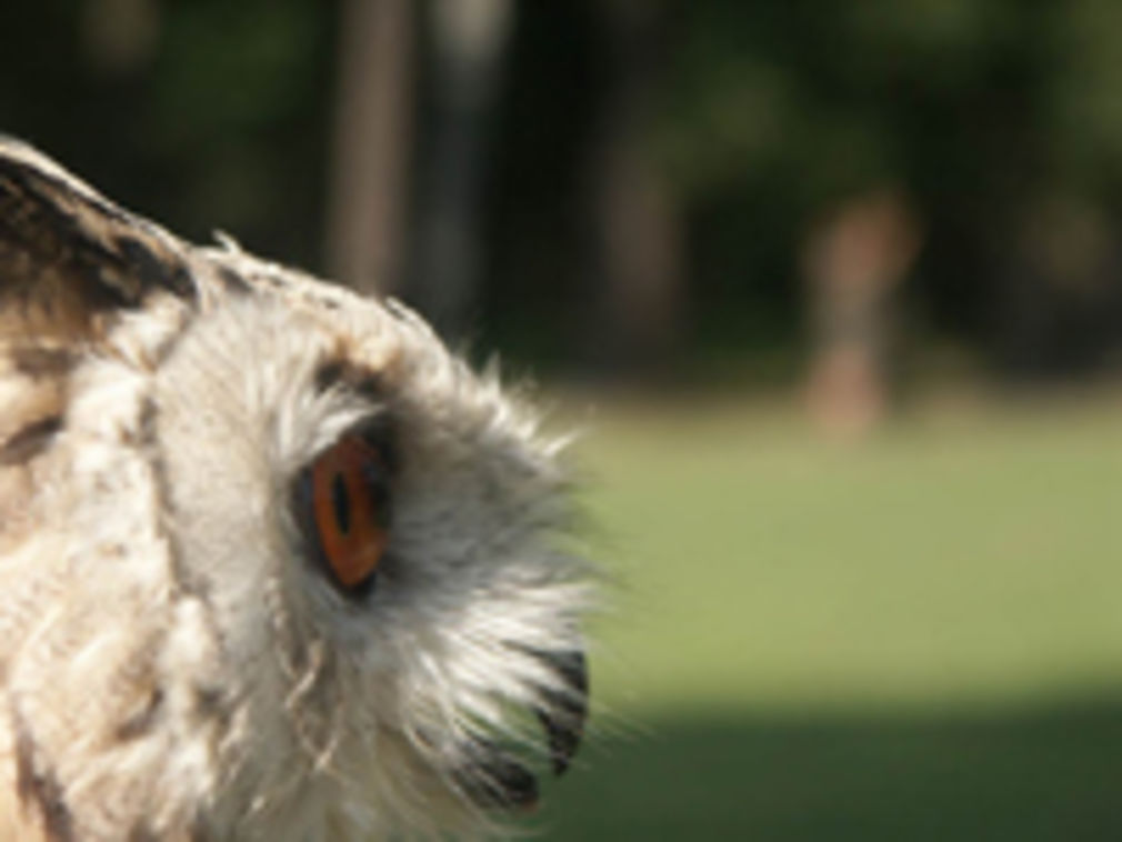 817 0 2028751094469318