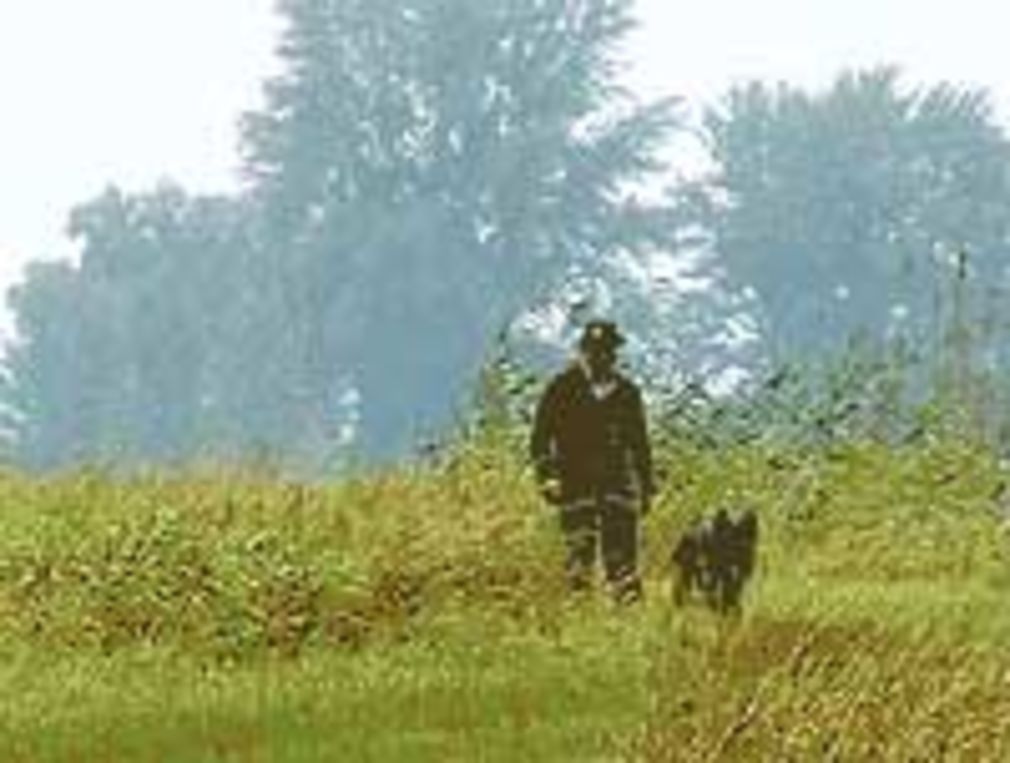 1175 0 6983461114085829