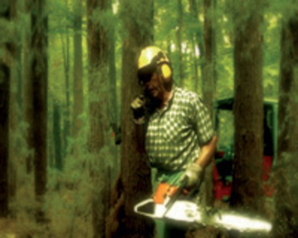 1209 0 5647141115061546