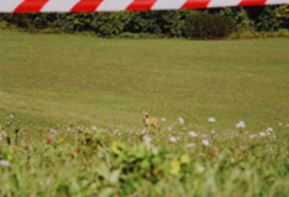 1193 0 5866251114712905