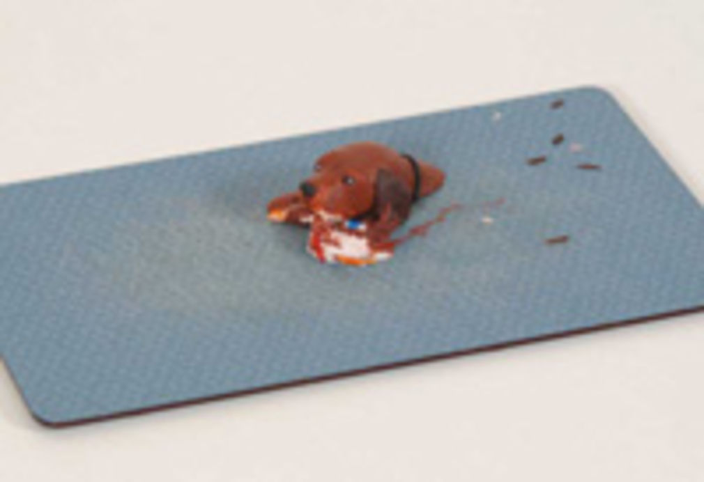 1195 0 8836481114712993