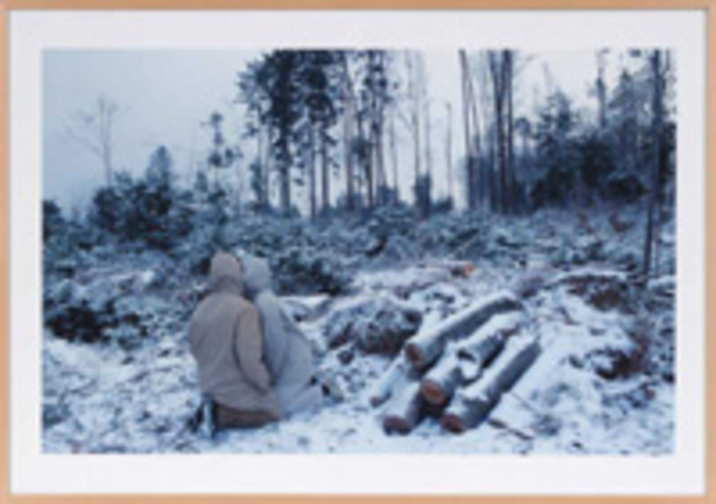 1196 0 9903571114713035