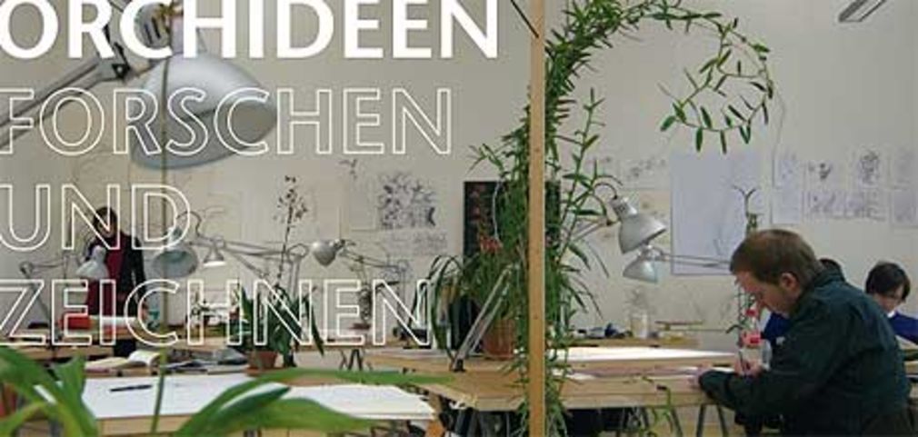 Orchideen karte pg 1