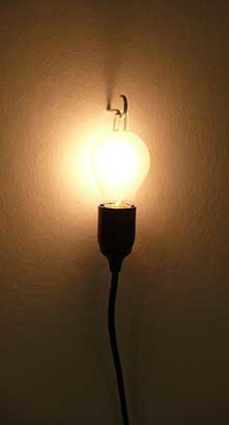 Bulb