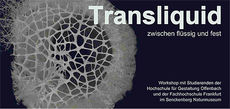 Transliquid flyer