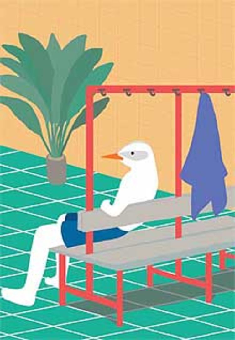 Seiten aus gu katalog06 v4 sm 1 5