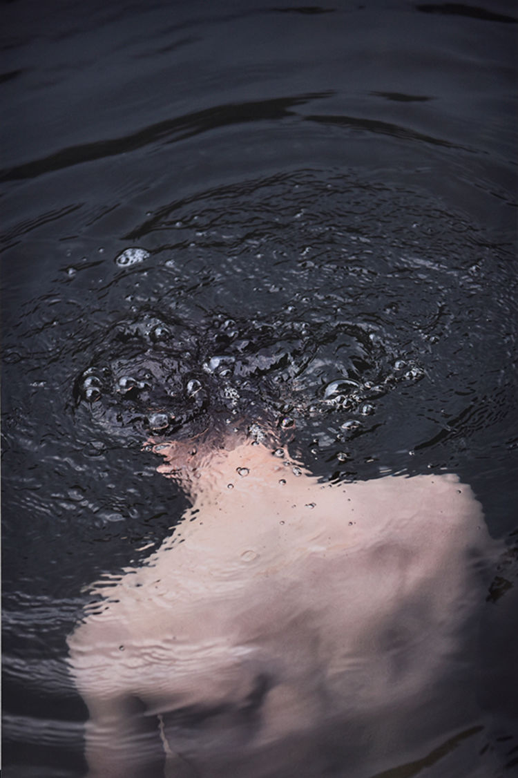 Ey ndm 05 laura brichta