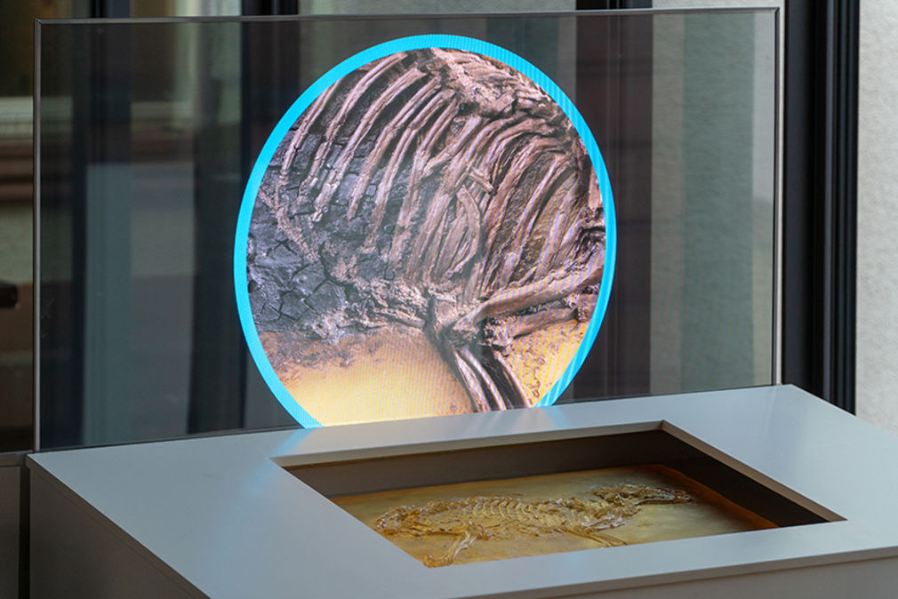 Wissenschaft ausstellen 8