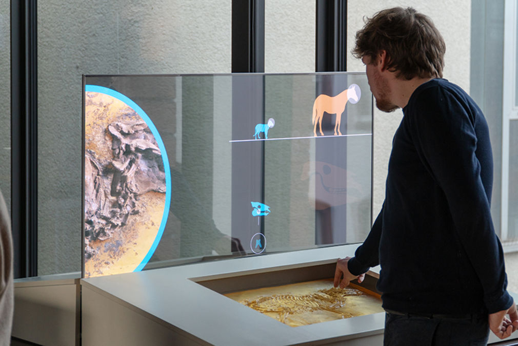 Wissenschaft ausstellen 9