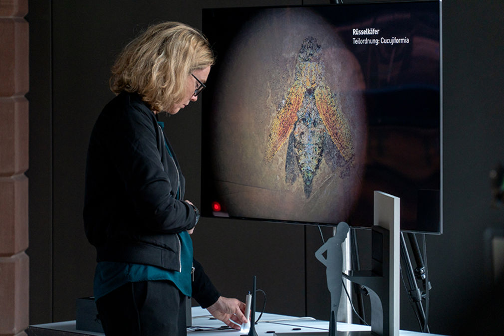 Wissenschaft ausstellen 13