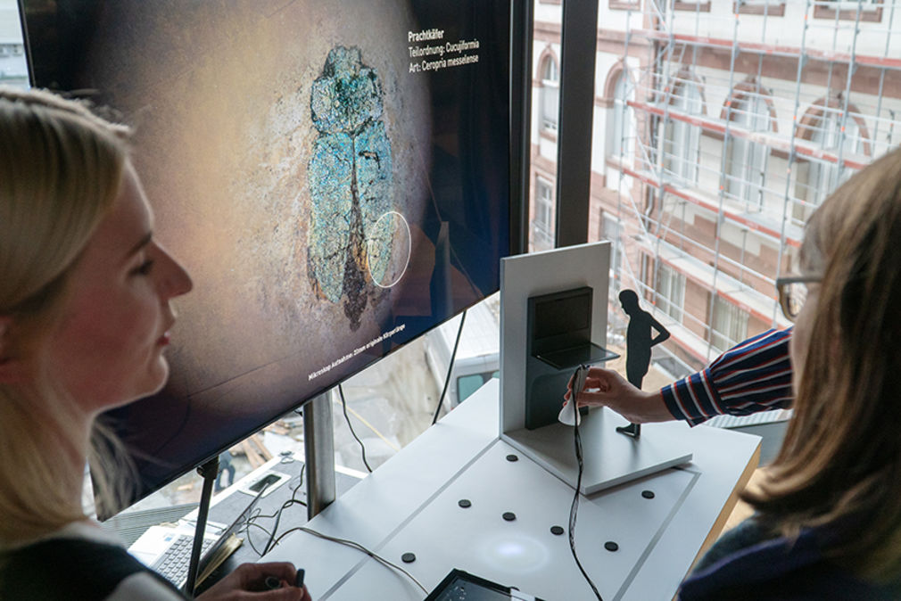 Wissenschaft ausstellen 14