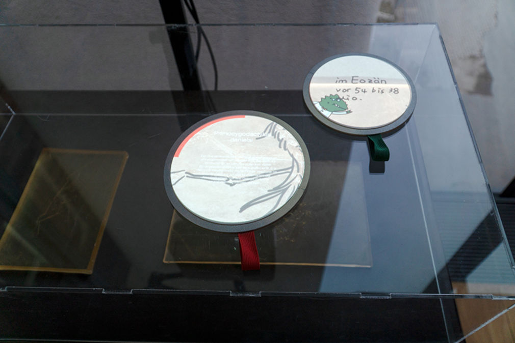 Wissenschaft ausstellen 17