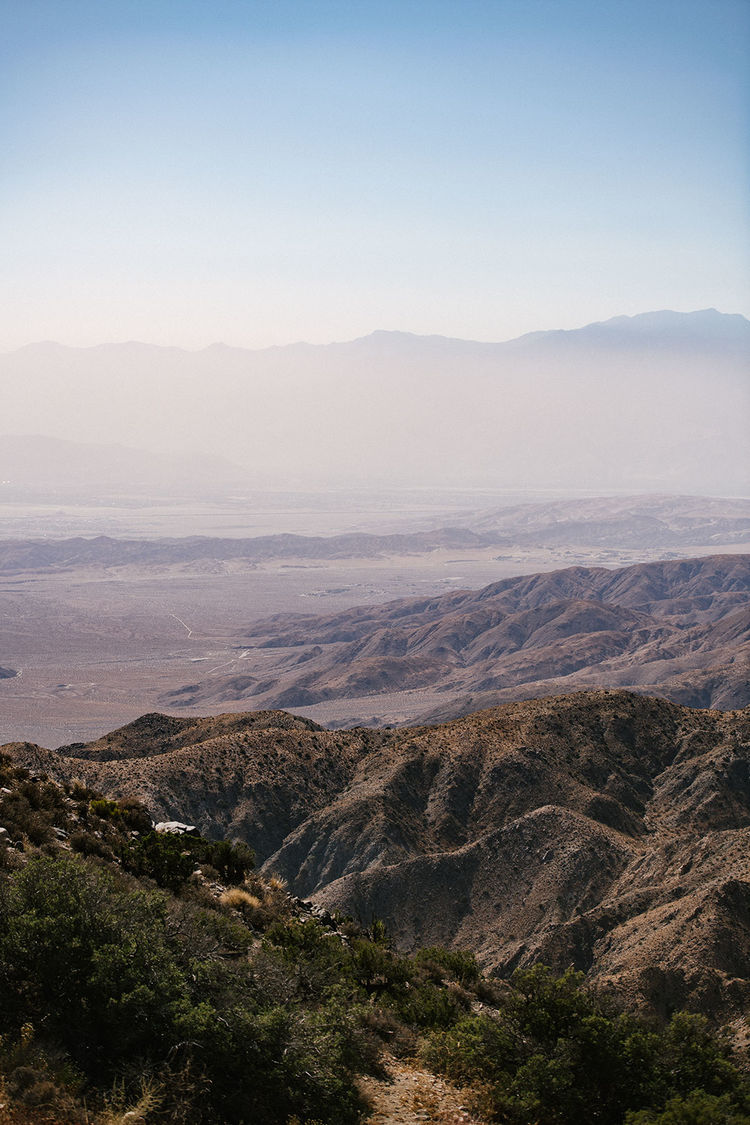 Joshuatree lenabils dsc1101