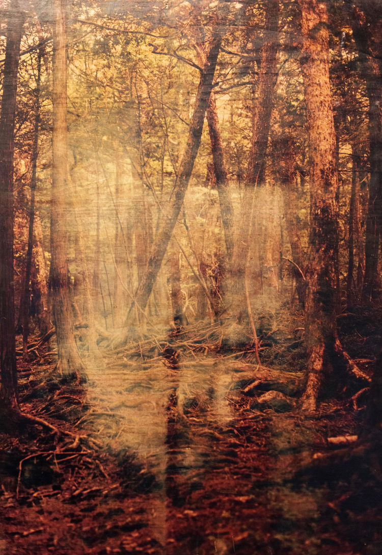 Robert schittko copyright  5 von 18