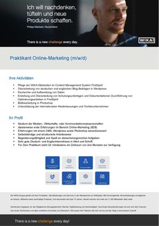 Praktikant online marketing