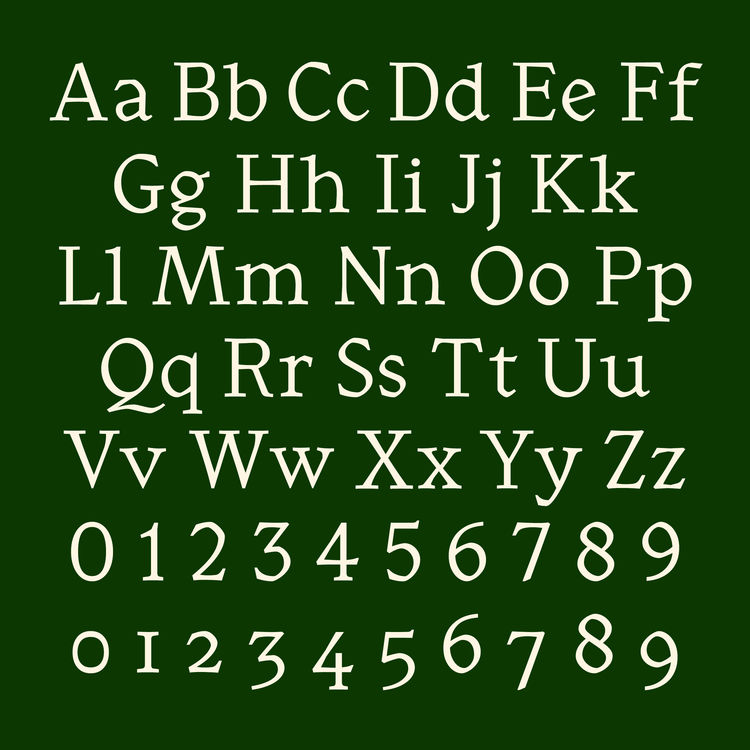 Tdc specimen gutach gewinn2