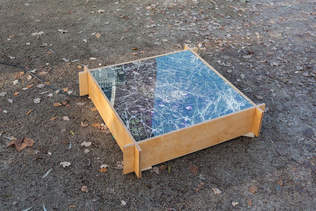 Mattis kuhn grasslands for insects installation 2022 3
