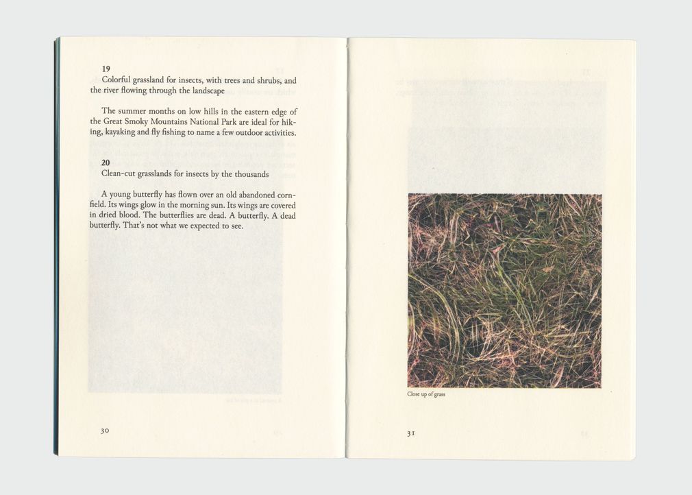 Mattis kuhn grasslands for insects 2022 30 31