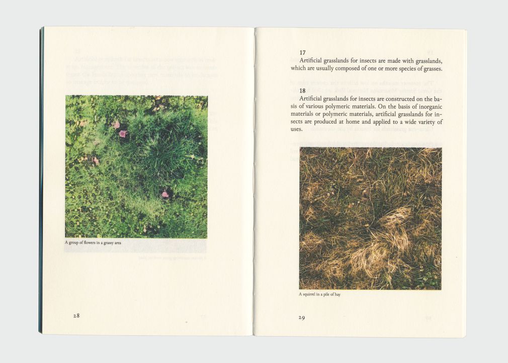 Mattis kuhn grasslands for insects 2022 28 29
