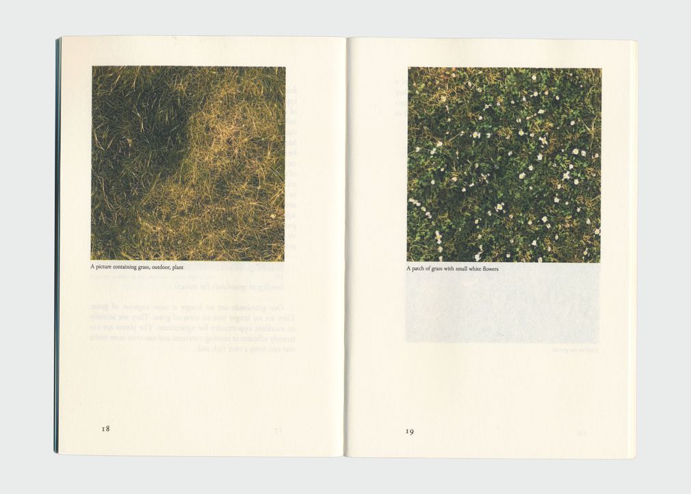 Mattis kuhn grasslands for insects 2022 18 19
