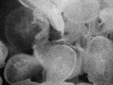 Bildschirmfoto 2025 06 02 um 14 25 51