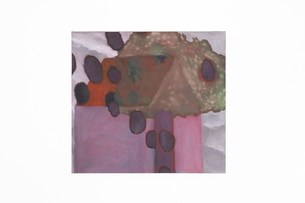 Img 7583 1920 1280x853