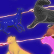 C365f2d3 f0ff 24c3 d171 3b00892d793a