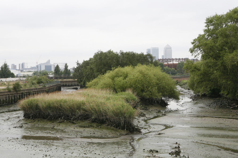 A guide to the wastelands along the lea river  12 empty sites await the london olympics  london 2009
