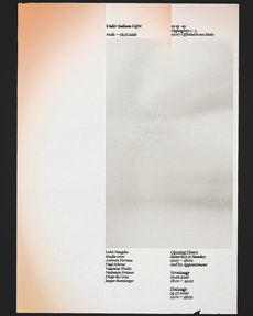 Sodium light poster flare final