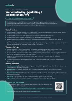 Entitys marketing webdesign